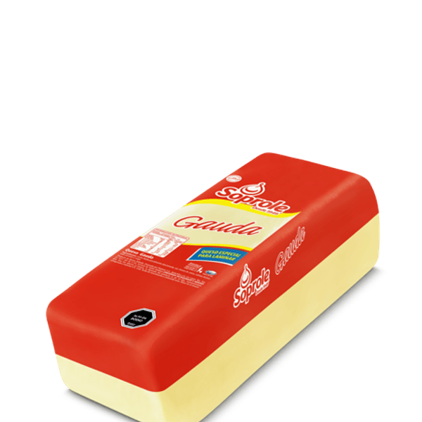 Queso Gauda Barra Soprole